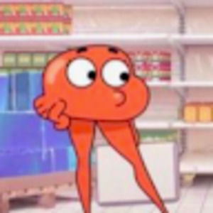 Meet your Posher, Isabella